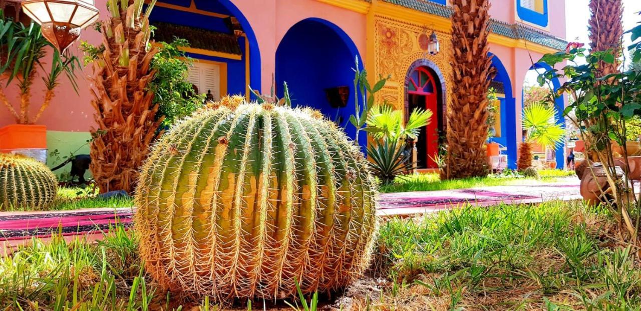 Riad Jasmine Sud Zagora Bagian luar foto